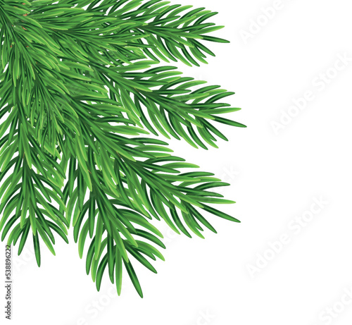 Green fir branches  decoration for Christmas and New Year on a transparent and white background. Universal template for flyers  postcards  price tags  invitations  Christmas tree vector no raster