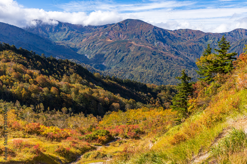 Naklejka premium 蓮華温泉露天風呂から紅葉の山々