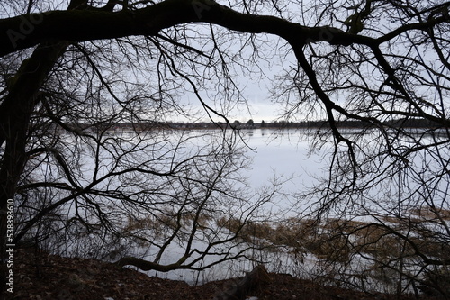 Lac avec un arbre mort pendant l'hiver