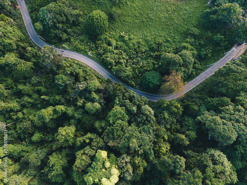 Road in green tropical rain forest with tree aerial view