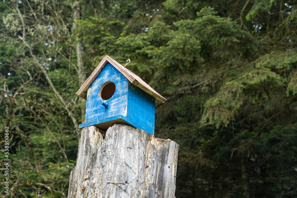 Bird house in the forest. Wooden blue bird house in the park