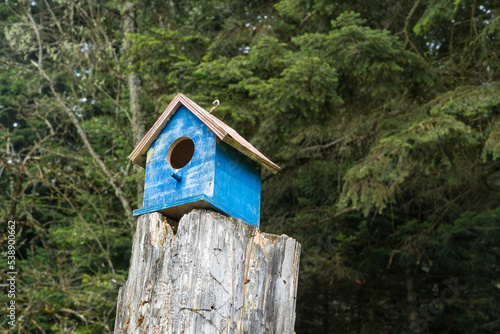 Bird house in the forest. Wooden blue bird house in the park