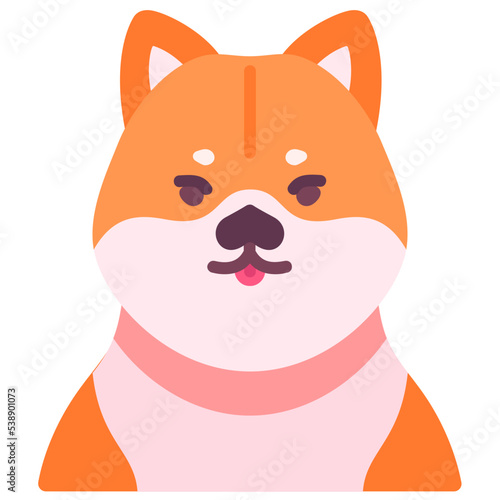Shiba dog