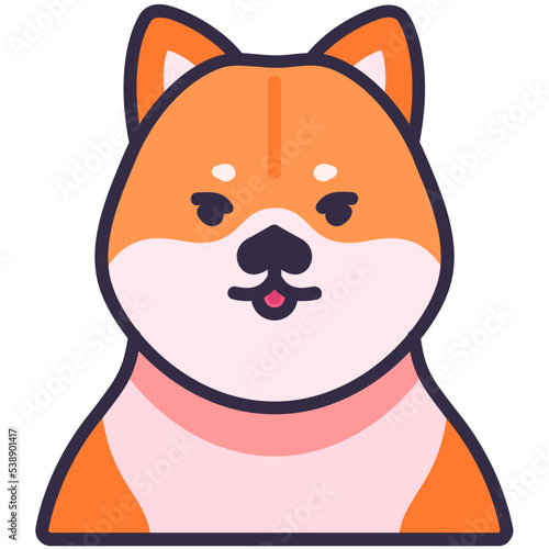 Shiba dog