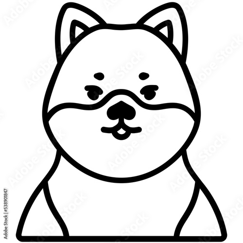 Shiba dog