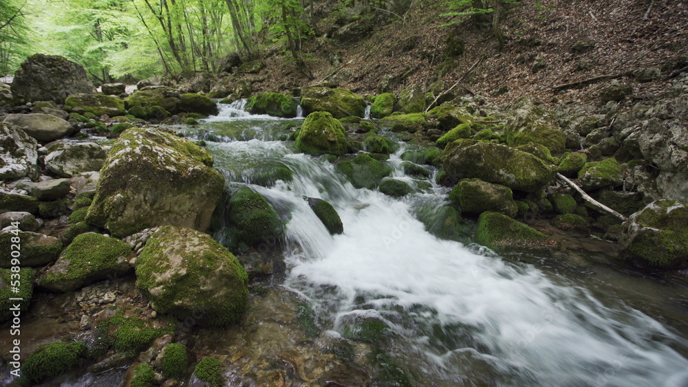 Stones and rocks covered by moss along water stream flowing through green summer forest Stones and rocks covered by moss along water stream flowing through green summer forest