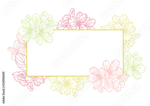 Background with apple tree flowers. Beautiful decorative plants.
