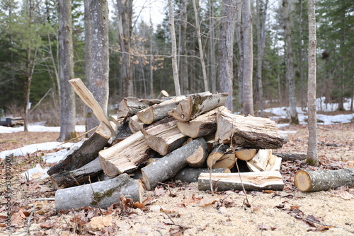 Tas de bois coupé pour la cheminer dans la forêt au début de l'hiver au canada photo