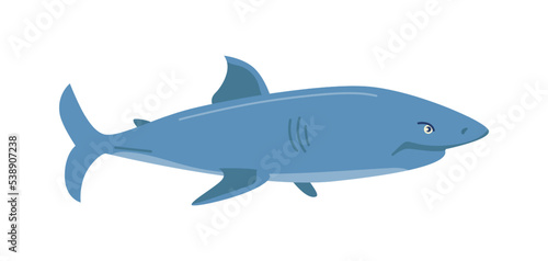 Shark long-bodied chiefly marine fish, isolated underwater animals. Water dweller or creature with sharp teeth and fins, tail. Vector in flat cartoon style