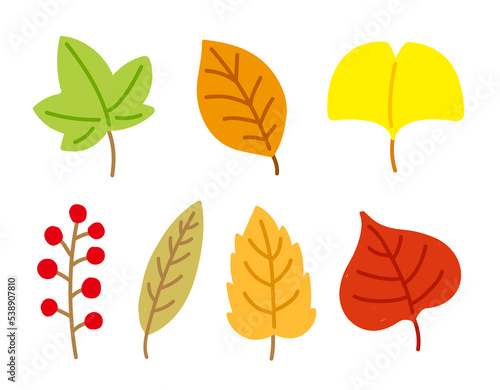 A set of hand drawn illustrations depicting fallen leaves in the autumn season. Maple leaves  ginkgo leaves  berries.