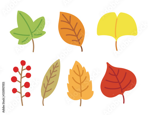A set of hand drawn illustrations depicting fallen leaves in the autumn season. Maple leaves, ginkgo leaves, berries.