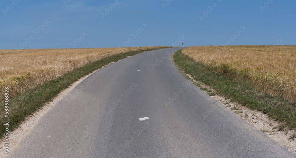 Road in Wheat Field France