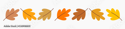 Oak leaves colorful simple autumn border. Vector illustration