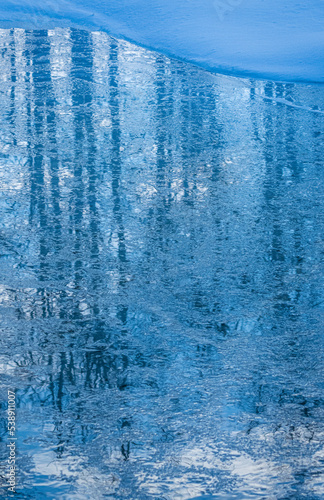  ice covered pond with reflections of trees