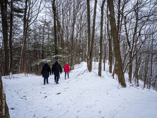 people walking in snowy forest