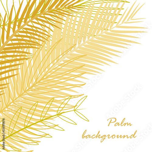 Palm leaves, branches on a white background. Square composition, frame with place for text. Palm trees in yellow golden tones. Summer theme for banner, poster, sale. Branches silhouette, flat style