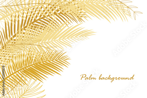 Palm tree background in yellow golden hues. Summer theme. Floral frame with place for text. Palm leaves outline drawing. Flyer, poster, banner vector template. Flat cartoon style. White background