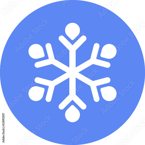 Christmas icon. Winter snow