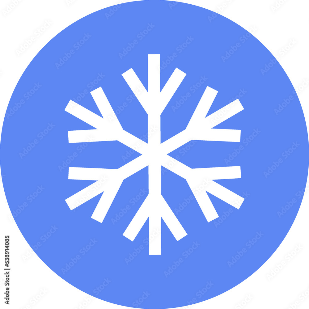 Christmas icon. Winter snow Christmas icon. Winter snow