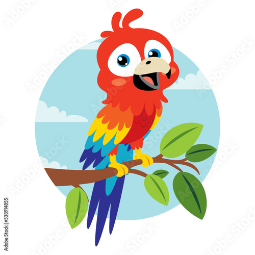 Cartoon Drawing Of A Parrot