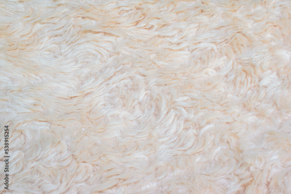 Fototapeta premium creamy white wool texture beautiful abstract fur background