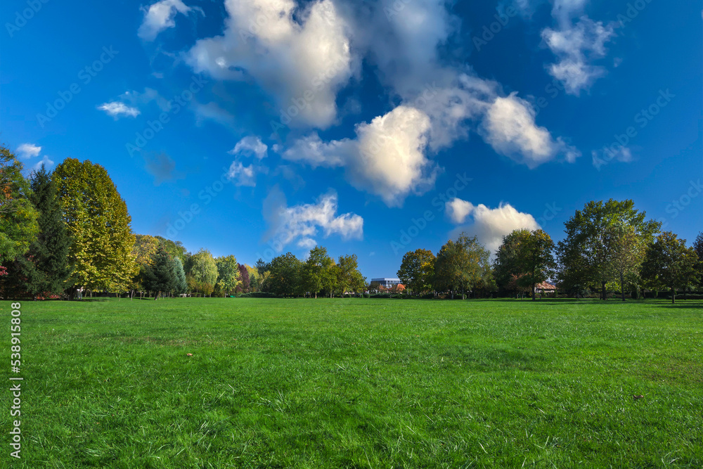 Green grass, trees in autumn colors and a blue sky with white, fluffy clouds. View from the public park.