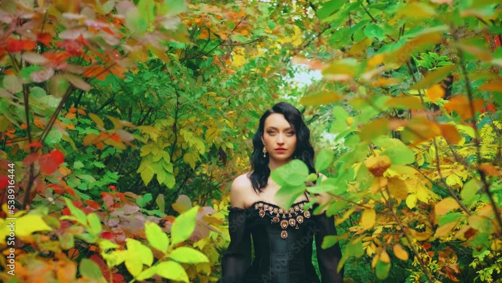 Queen fantasy woman walks in deep autumn nature forest trees. Green yellow orange foliage fallen leaves on path. princess girl fashion model. royal vintage long black dress. video 4k. looks at camera Queen fantasy woman walks in deep autumn nature forest trees. Green yellow orange foliage fallen leaves on path. princess girl fashion model. royal vintage long black dress. video 4k. looks at camera