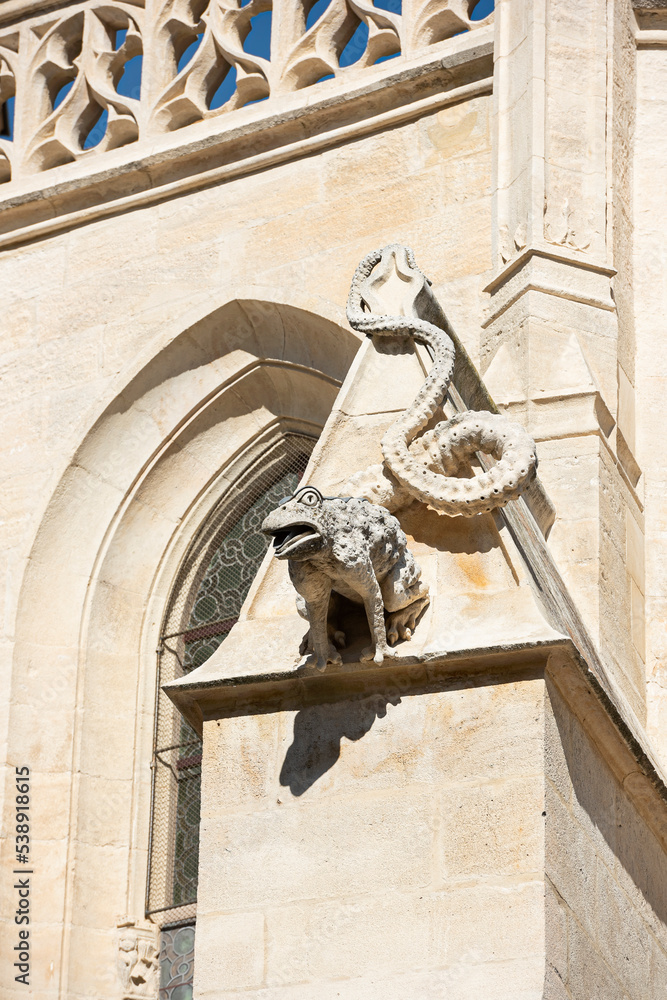 Gargoyle closeup, Collegiate Church of Notre-Dame-des-Anges, L'isle-sur-la-sorgue, France
