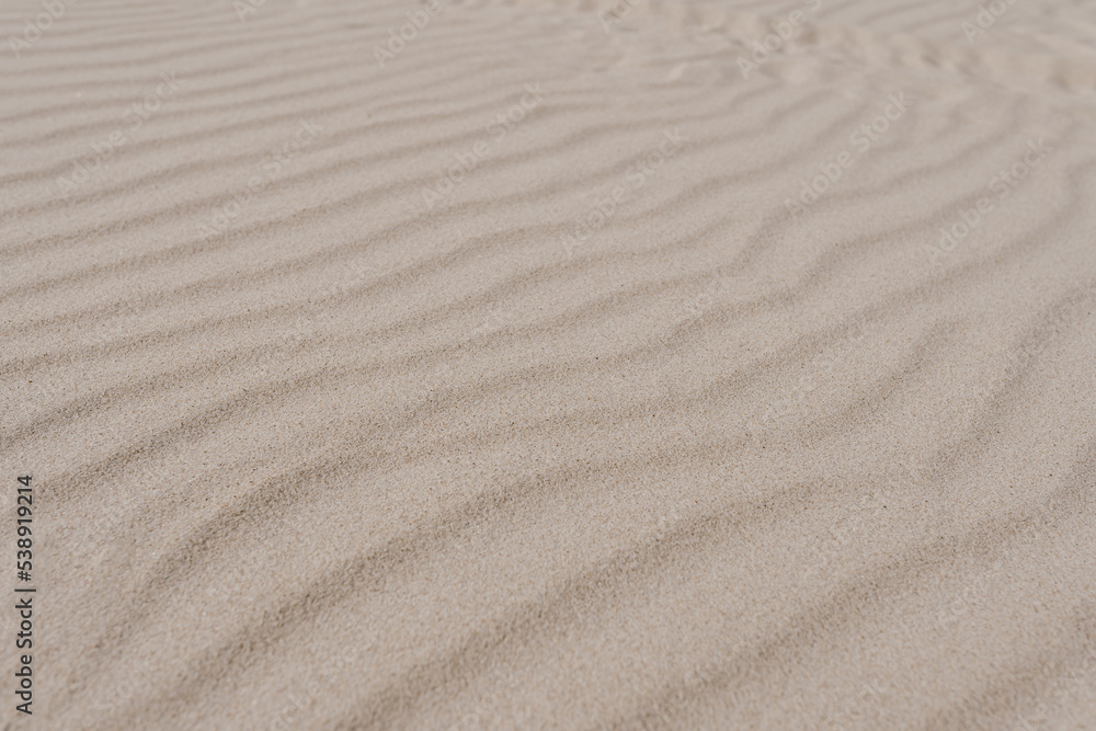 Beige beach sand waves surface texture. Desert dune landscape Beige beach sand waves surface texture. Desert dune landscape