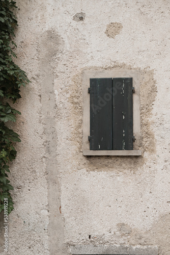 Ancient building facade with bush, wooden window and neutral beige wall