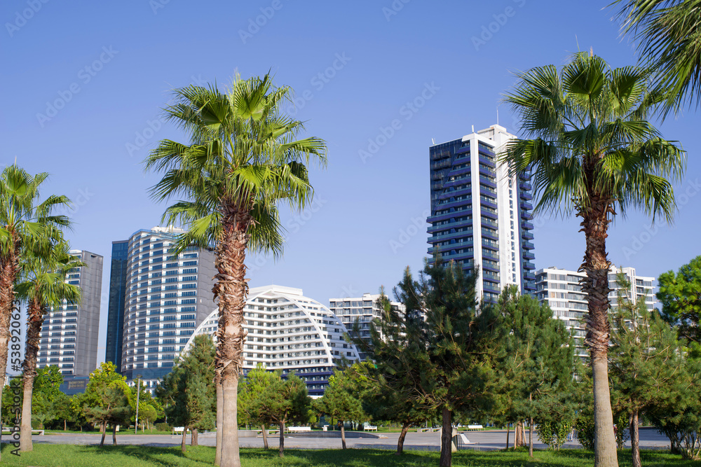 Walking alley along the Black Sea embankment with rows of palm trees against the backdrop of high-rise buildings on a sunny day