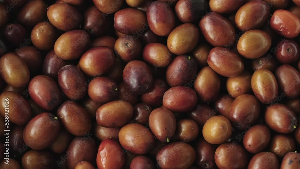 Chinese date fruits or Ziziphus jujuba fruits background rotating. Harvest of ripe useful berries. Ziziphus jujuba fruits (Unabi common, Yuyuba Chinese - exotic fruits of jujube tree) rotate, flat lay Chinese date fruits or Ziziphus jujuba fruits background rotating. Harvest of ripe useful berries. Ziziphus jujuba fruits (Unabi common, Yuyuba Chinese - exotic fruits of jujube tree) rotate, flat lay