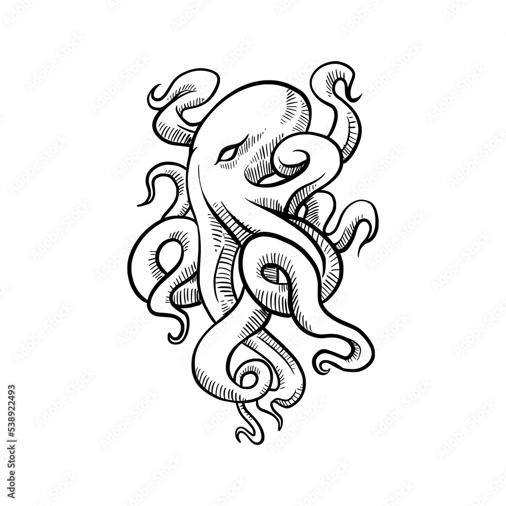 Hand drawn octopus