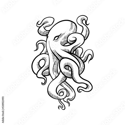 Hand drawn octopus