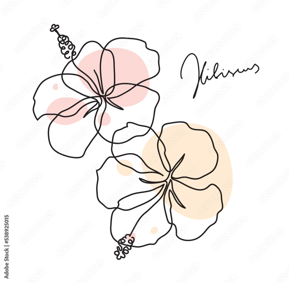 Beautiful hibiscus flower pattern. Line art concept design. Continuous