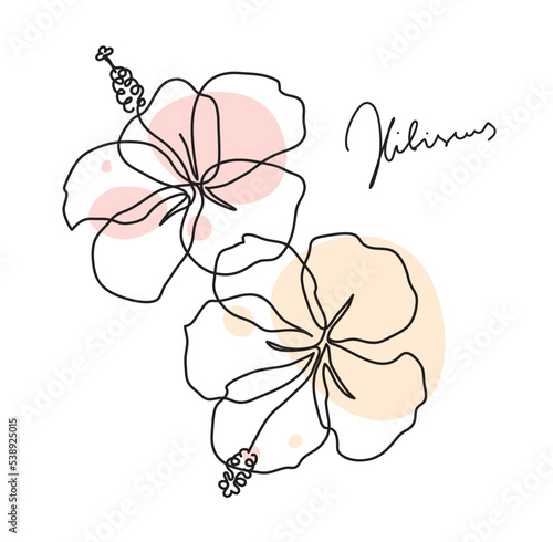 Beautiful hibiscus flower pattern. Line art concept design. Continuous line drawing. Stylized flower symbol. Vector illustration