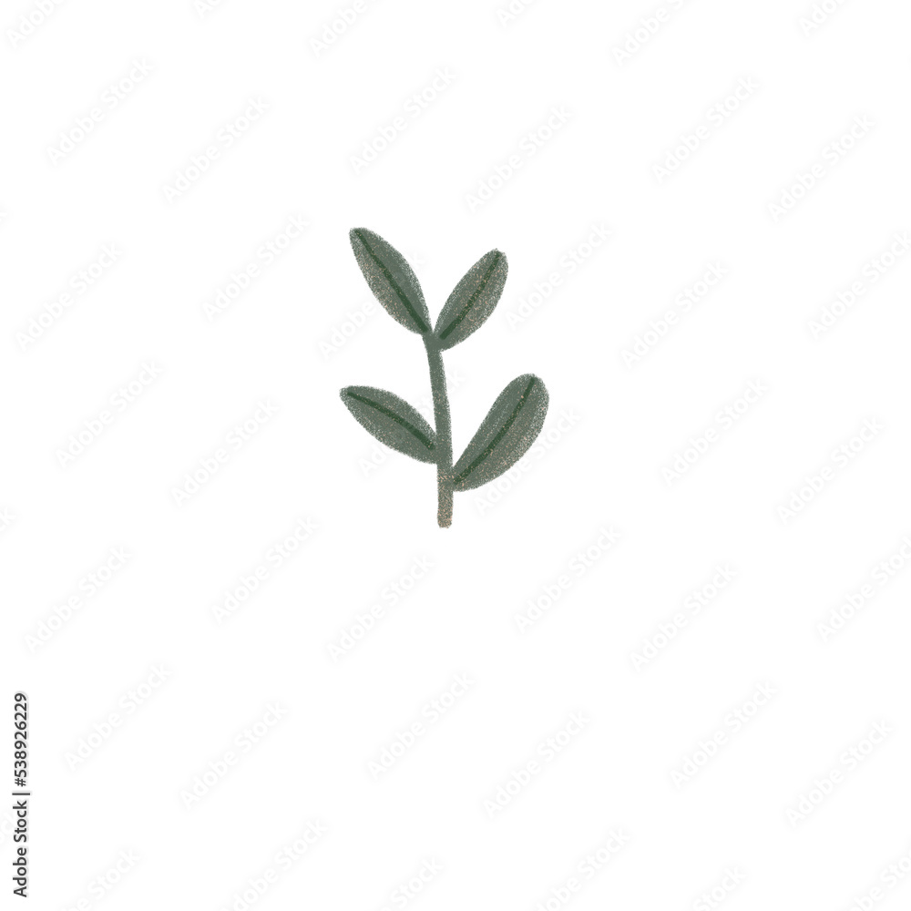 Autumn Leaf Hand drawn Illustration Autumn Leaf Hand drawn Illustration