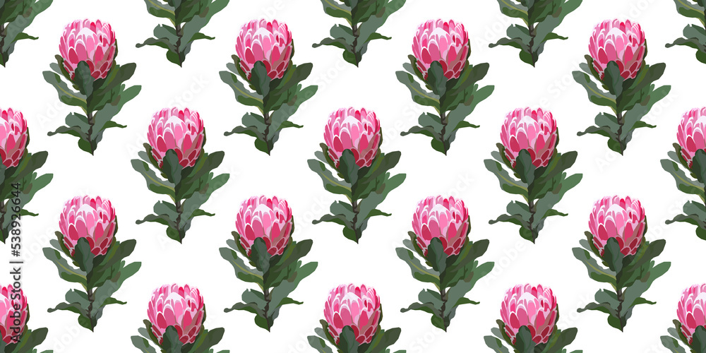 Protea flower seamless pattern Protea flower seamless pattern
