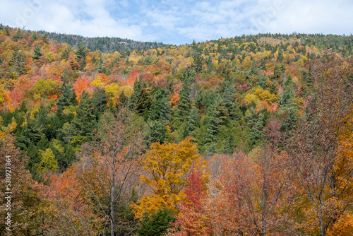 Autumn view into the side of a mountain in the Adirondacks