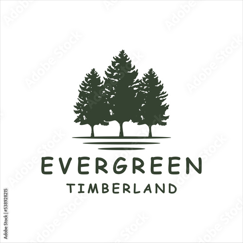 Rustic Retro Vintage Evergreen with banch logo design template.
