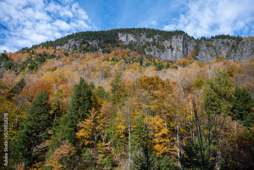 Autumn view into the side of a mountain near Whiteface in the Adirondacks