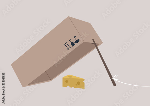 A box-and-stick trap, a mechanism used for live trapping with a piece of cheese