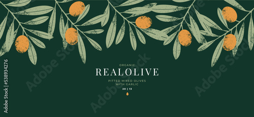 Olive horizontal design template. Olive leaves and branches. 
