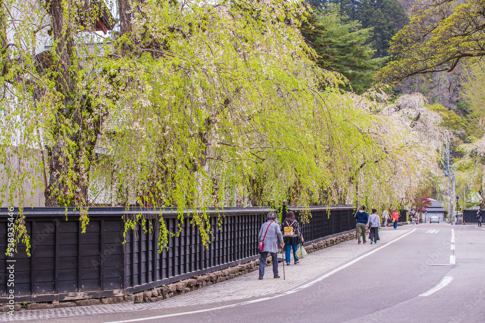 Obraz premium 秋田県 角館武家屋敷 しだれ桜風景