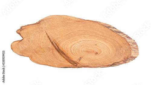 Wood slice on a white background isolated. Oval piece of wood cross section with tree ring texture.