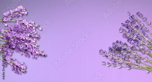 Fresh aroma lavender flowers on desk