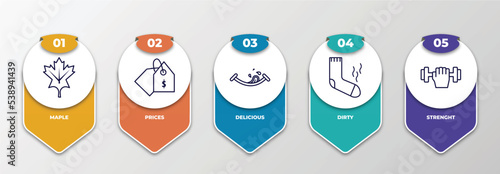 infographic template with outline icons. thin line icons such as maple, prices, delicious, dirty, strenght editable vector. can be used for web, mobile, info graph.