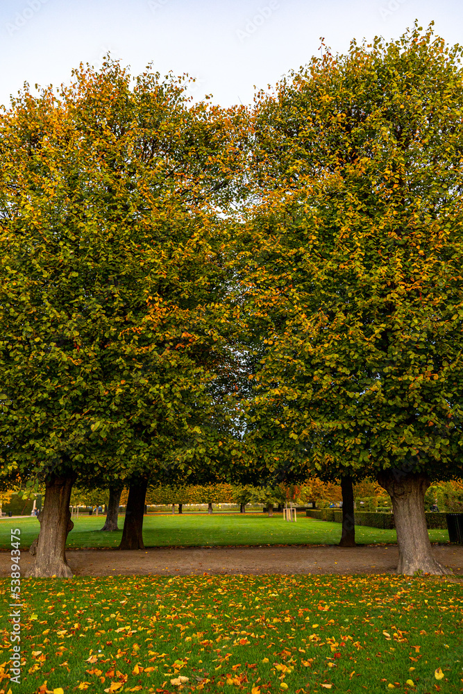 Naklejka premium Copenhagen, Denmark The King's Garden, Kongens Have, in the fall.