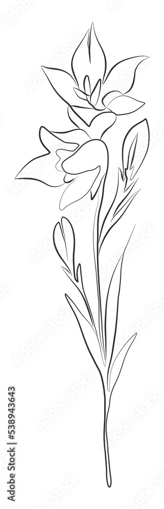 Line drawing decorative flower with buds, black sketch. Plant with leaves one line illustration. Minimalist prints. Herb png. Line drawing decorative flower with buds, black sketch. Plant with leaves one line illustration. Minimalist prints. Herb png.