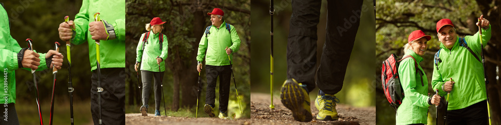 Naklejka premium Set of images with elder people, woman and man in sports uniform hiking in autumn forest at sunny day, outdoors. Scandinavian walking, healthy lifestyle